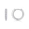 Picture of Classic Sterling Silver Hoop Earrings women