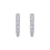 Picture of Classic Sterling Silver Hoop Earrings women