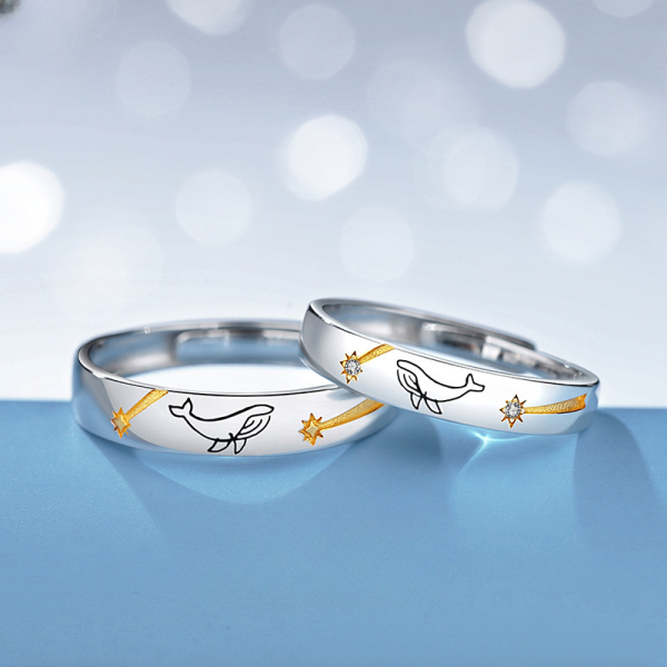 Star Rings Silver For Couples video thumbnail